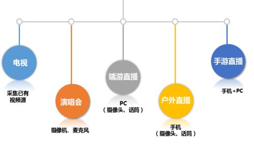 直播平臺軟件開發(fā)的全流程探索 云豹直播源碼 csdn博客